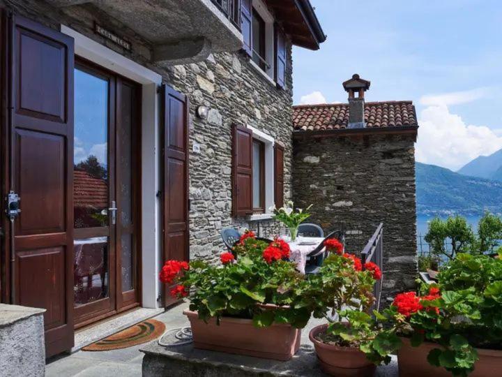 Casa Alex *